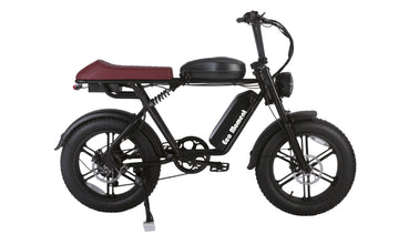 EC66X