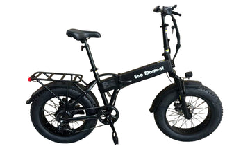 DS8 E-Bike