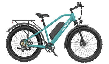 DS9 E-Bike